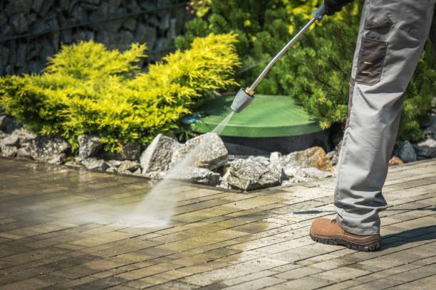 Best Sidewalk and Walkway Cleaning  in Marionville, MO